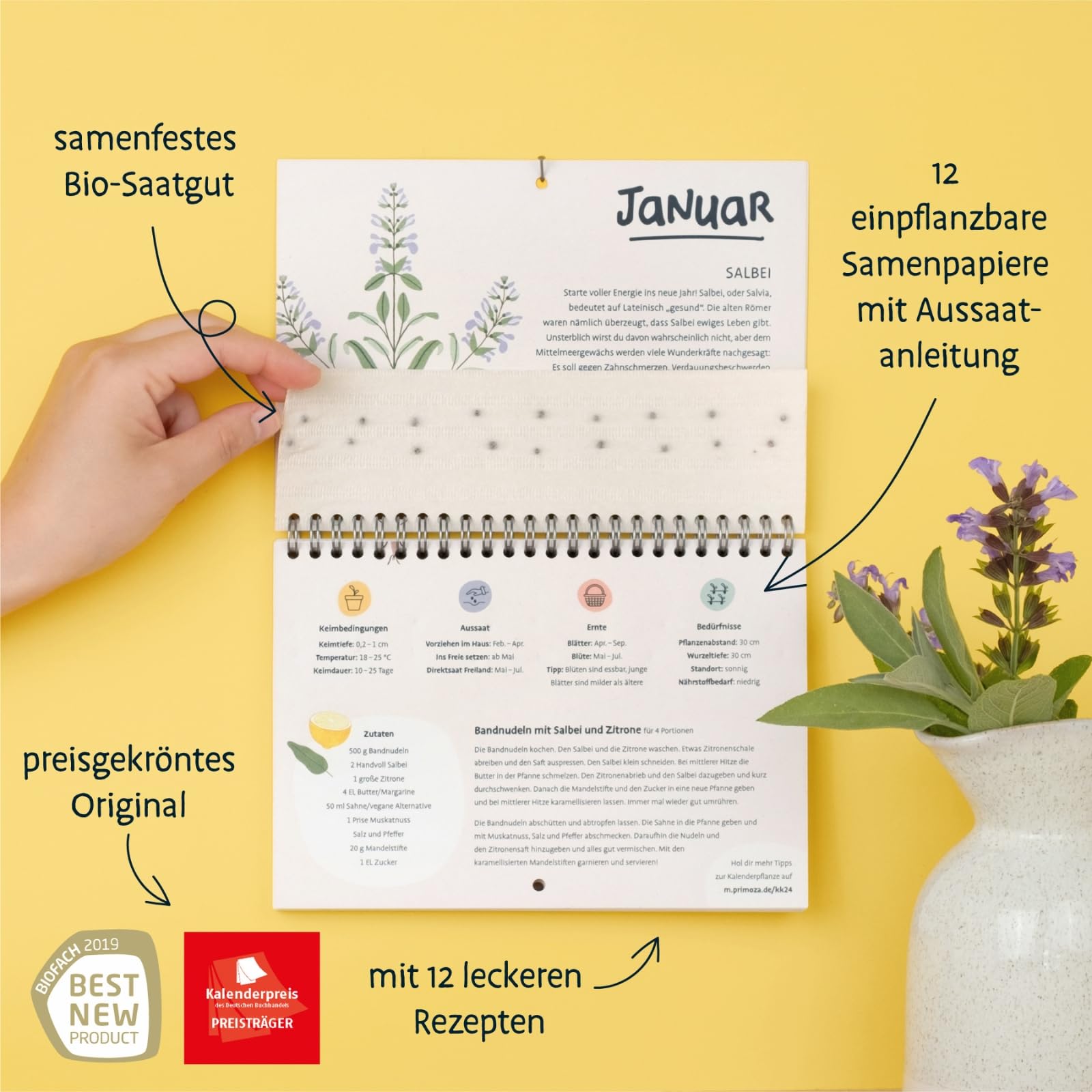 knstliche pflanzen 200 cm Bucida Kunstpflanze 200cm  Groe Designer Deko Baum Pflanze  Pflegef