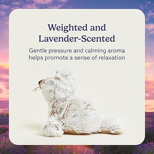 Vista 3 de Intelex Warmies® - Sello de felpa perfumado para microondas