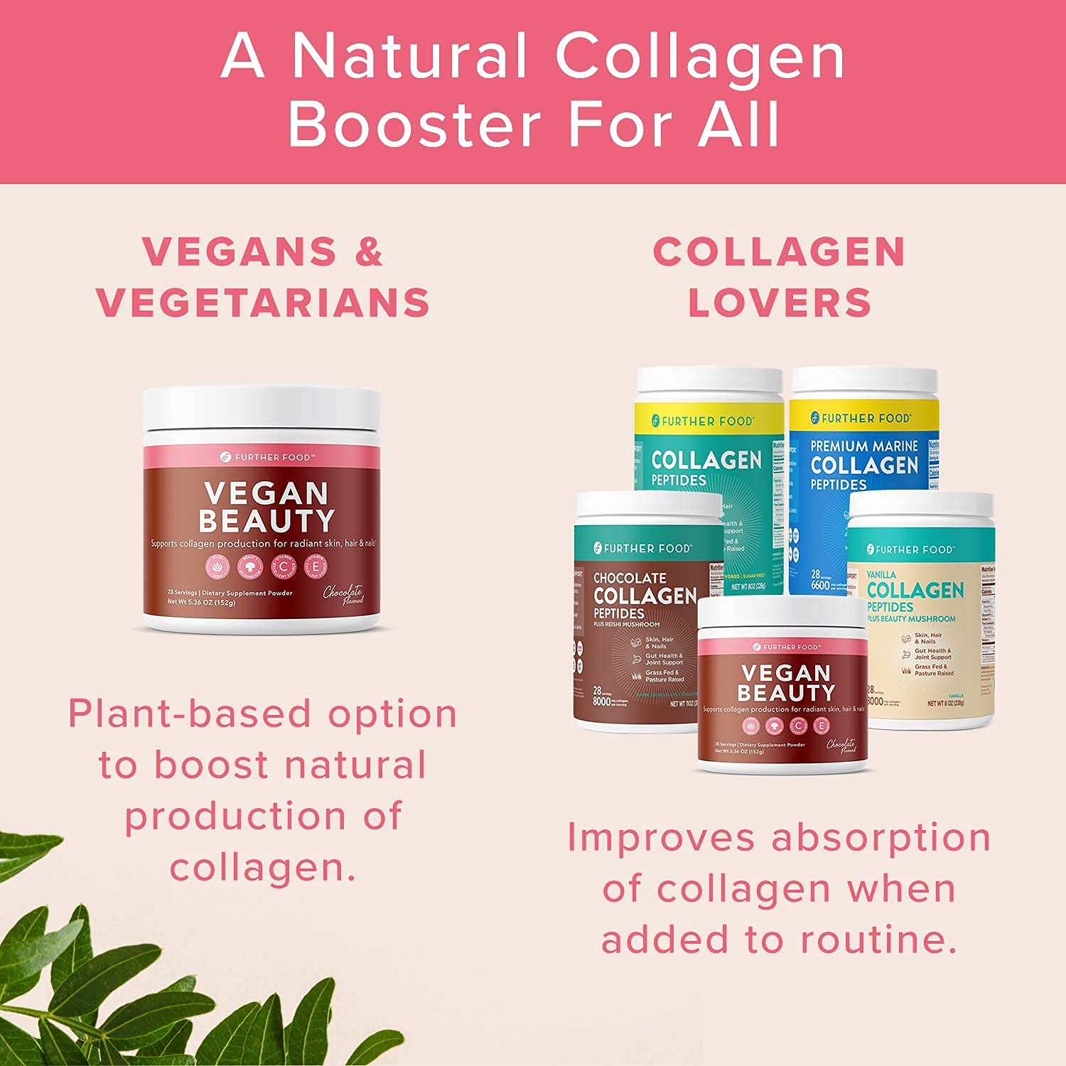 Amazon.com: Premium Plant Based Vegan Collagen Booster - Vegetarian Collagen  Supplement - Delicious Chocolate flavor for Beautiful Skin, Hair and Nail  Health Vitamin C and E + Aloe Vera (28 servings) : Health & Household