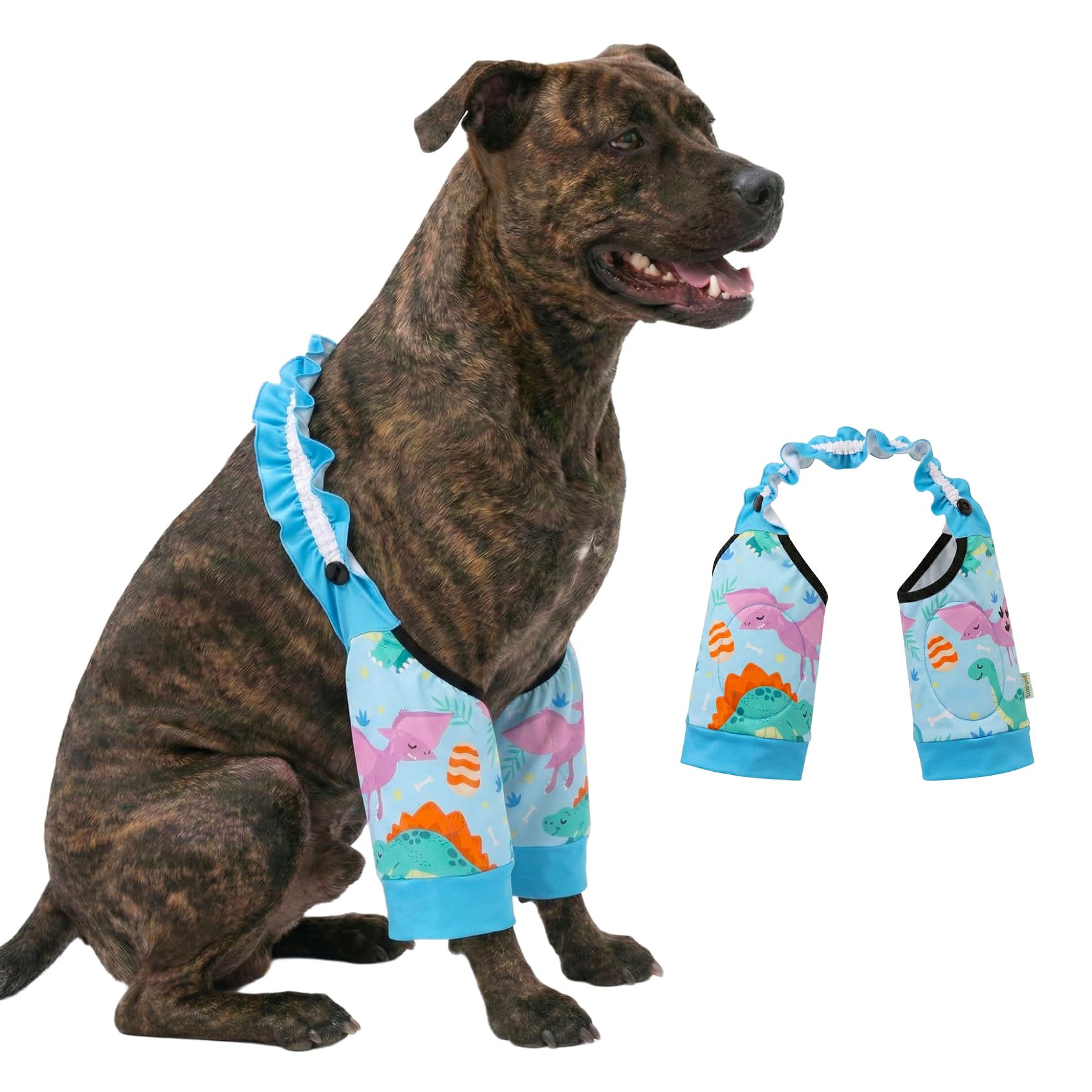 Protéger pattes avant grand chien habit bleu dinosaures LovinPet