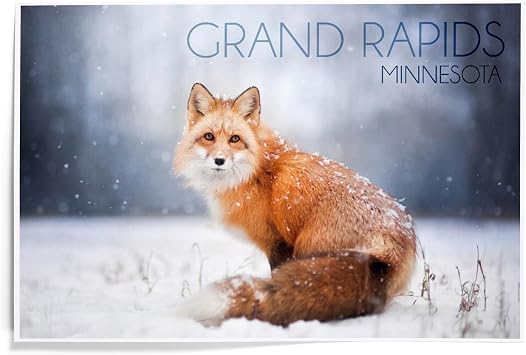 Lantern Press 12x18 Inch Art Print Wall Decor, Grand Rapids, Minnesota, Red Fox Covered in Snow 12x18 Art Print, Travel Poster Wall Decor