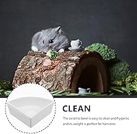 Vista 7 de iplusmile Cuenco de cerámica para hámster, blanco, 5