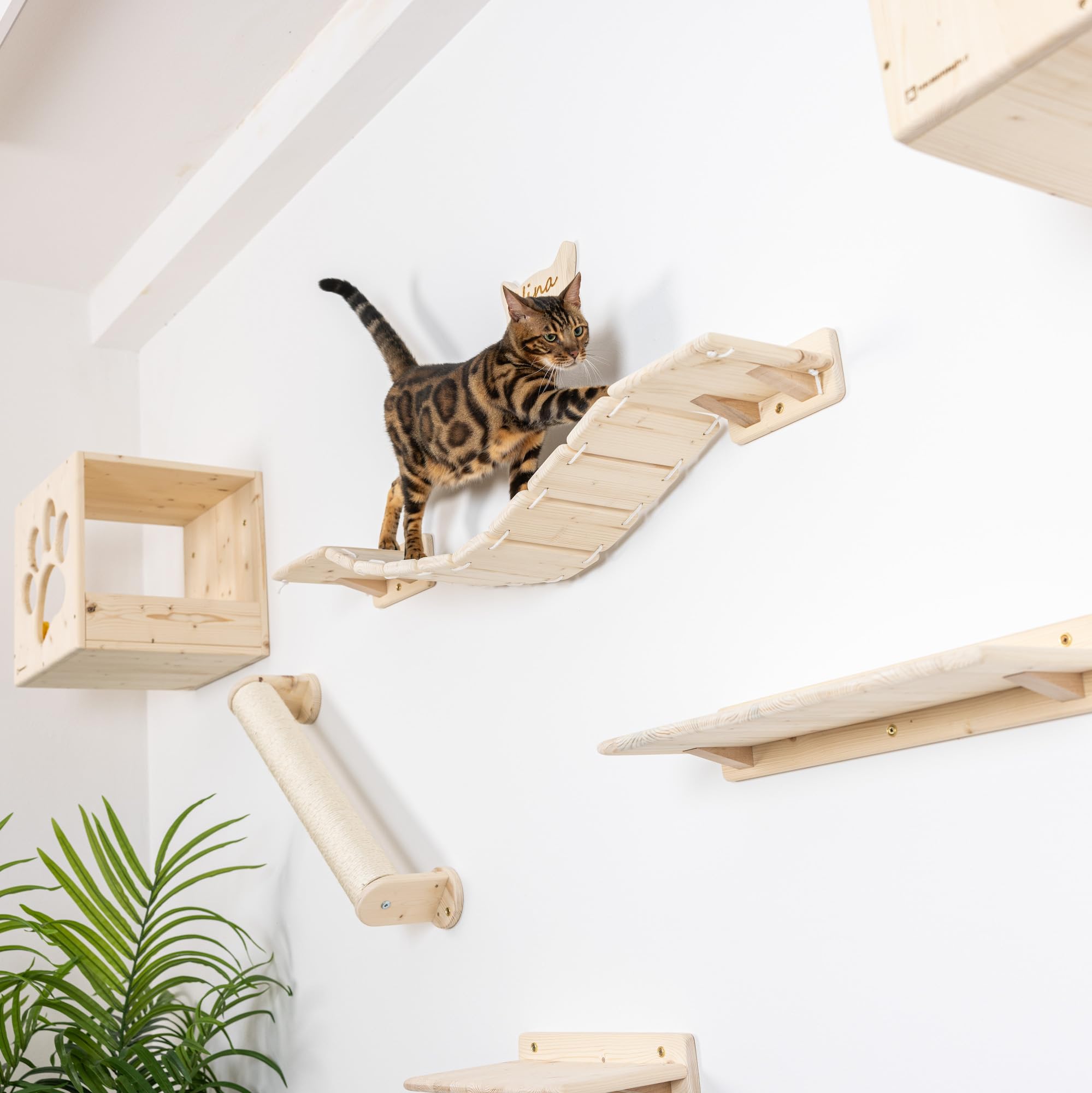 Percorsipergatti Crea il tuo Percorso da Muro per Gatti personalizzato in Legno d’Abete PEFC Fatto a Mano, Mensole per Gatti da Parete con Moduli Componibili, Colori legno e tessuti Personalizzabili