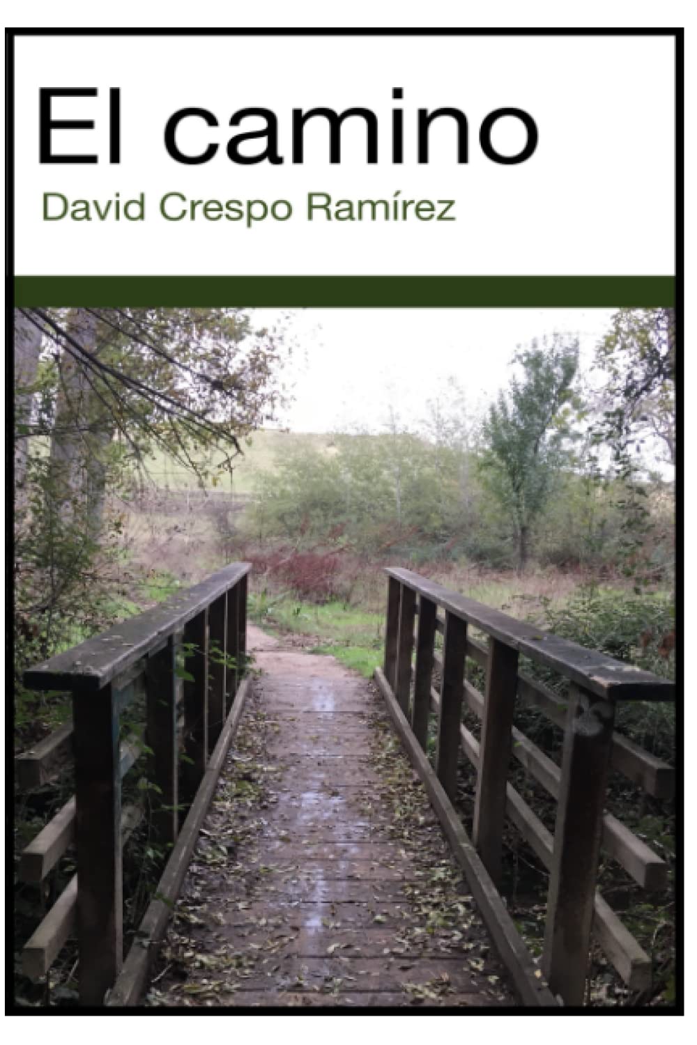 El camino (Spanish Edition)