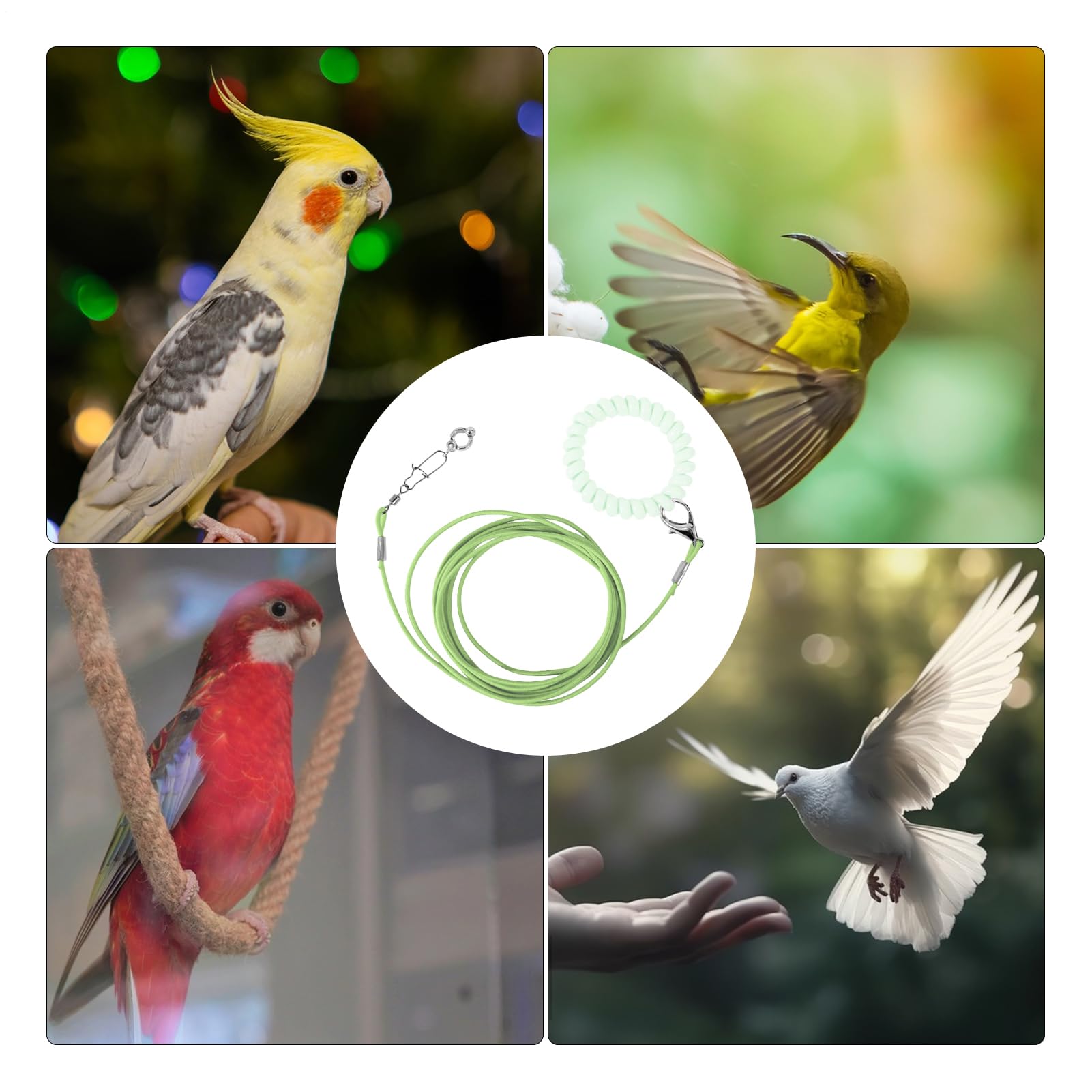 Corda volante per pappagalli, corda da addestramento per uccelli e animali domestici, resistente ai morsi, con anello alla caviglia, per terrazza, giardino, cortile