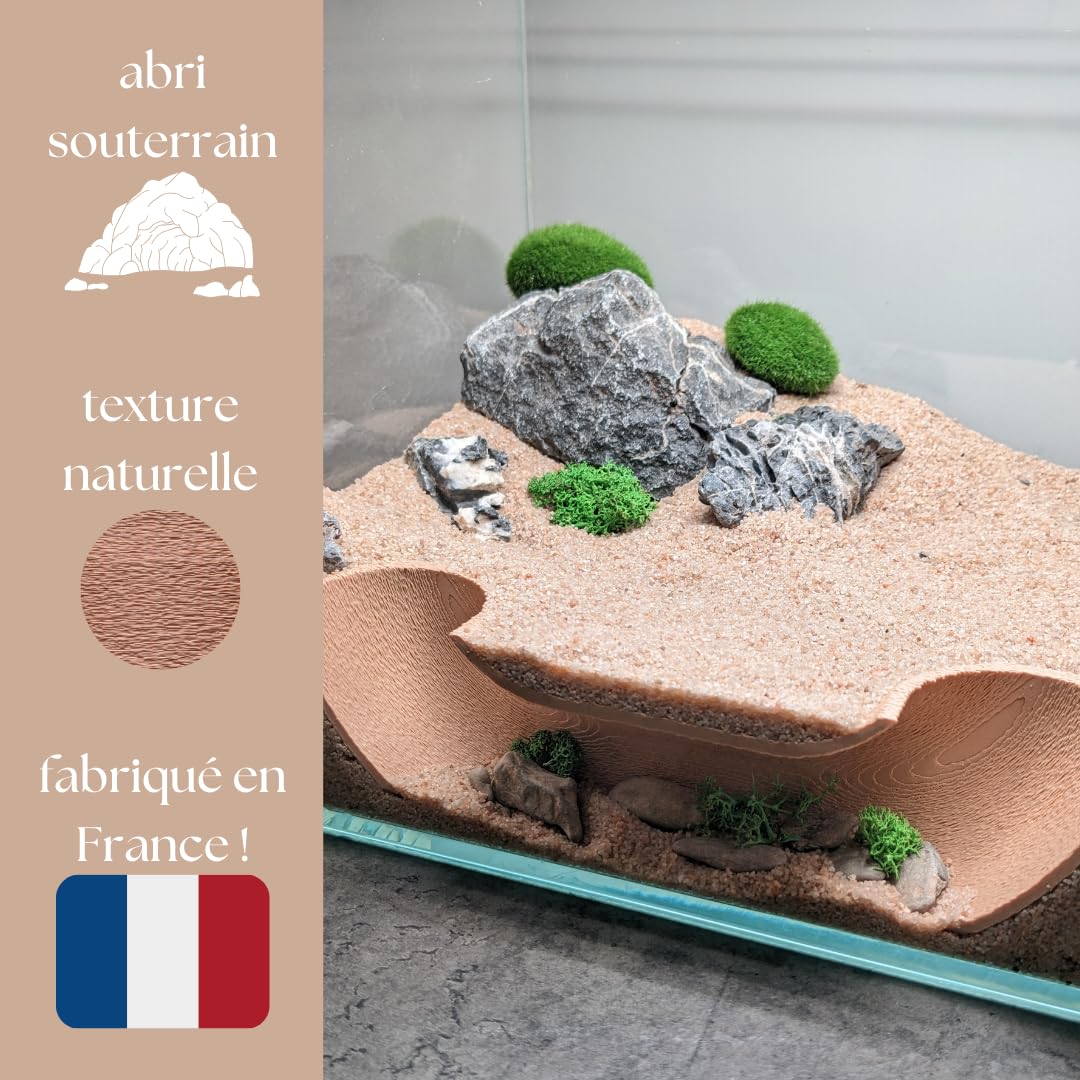 Types De Poissons Rouges Pour Aquariums La Bonne Population De