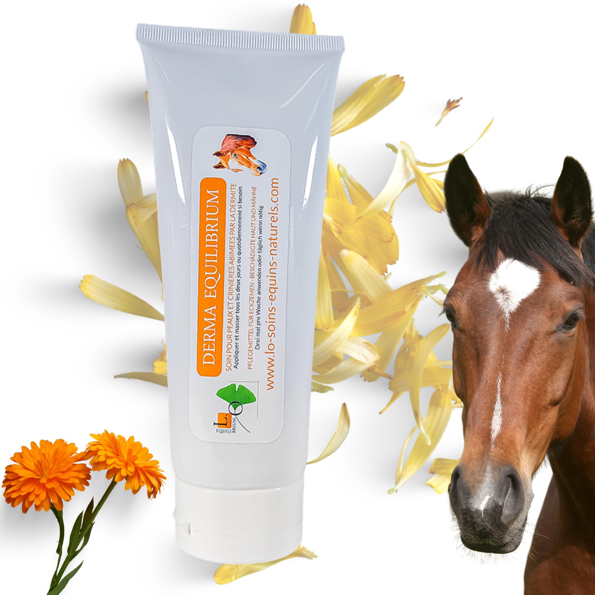 Derma Equilibrium - Soin Naturel de la dermite chez Le Cheval - Aux Plantes, Calendula, Lavande, Cade - Anti-démangeaisons (Derma Equilibrium 240mL)