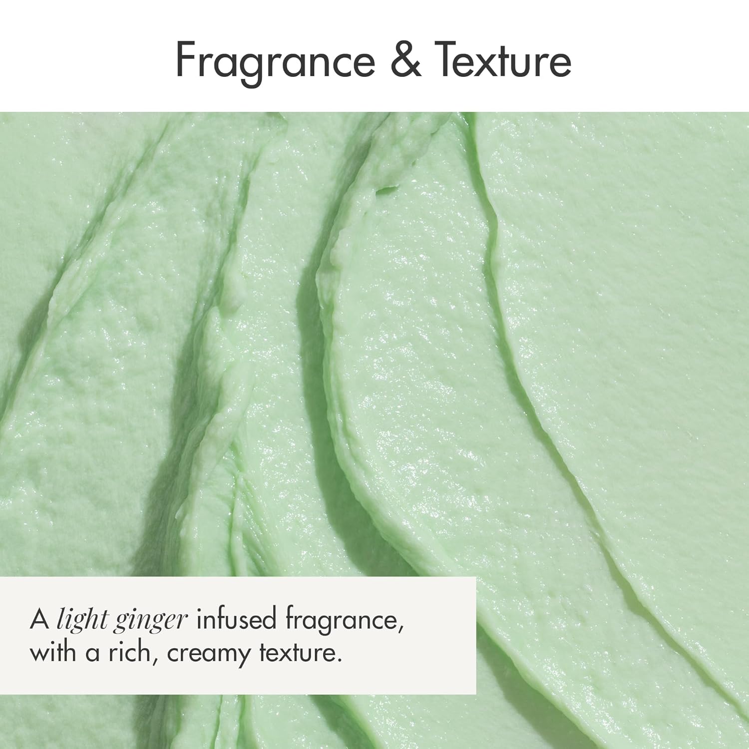 SISTERWOULD Give Me Life Hair Conditioner 11.8 fl oz | Nourishes, Soothes & Smooths | Enriched with Ginger Root, Finger Lime, Shea Butter & Aloe Vera | Suitable for All Hair and Scalp Types. - Image 6