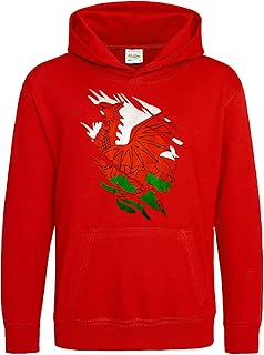 Purple Print House Baby,Clothing,Baby Boys 0-24m,Hoodies & Tracksuits,Hoodies Wales Country Outline Baby Hoodie, Wales Rugby Gifts for Toddler, Wales Flag Torn, Welsh Gift, Cymru Rugby Boys Shirt, Wales Present For Baby Boy and Girl