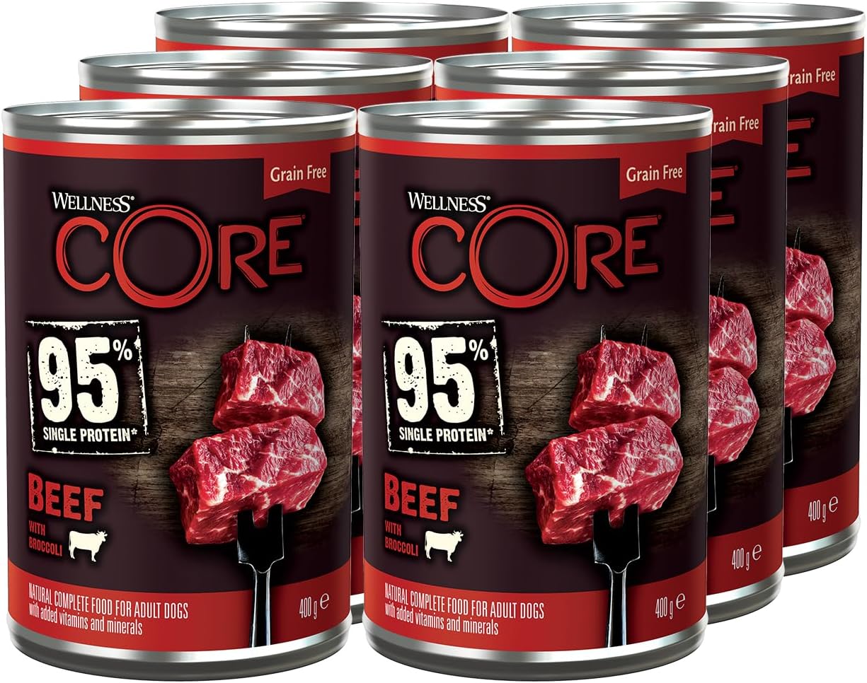 95% 6 x 400g, Beef & Broccoli – Wet Dog Food, Chunky Paté for Adult Dogs, Grain-Free, Natural, Hypoallergenic, Protein-Rich, High Meat Content