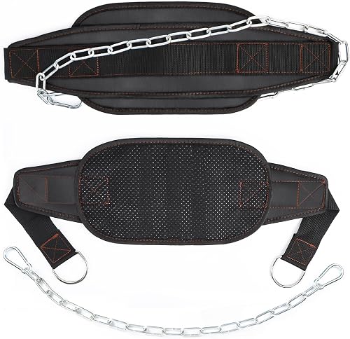 Fonyet Weightlifting Belt with Steel Chain and 2 Carabine…