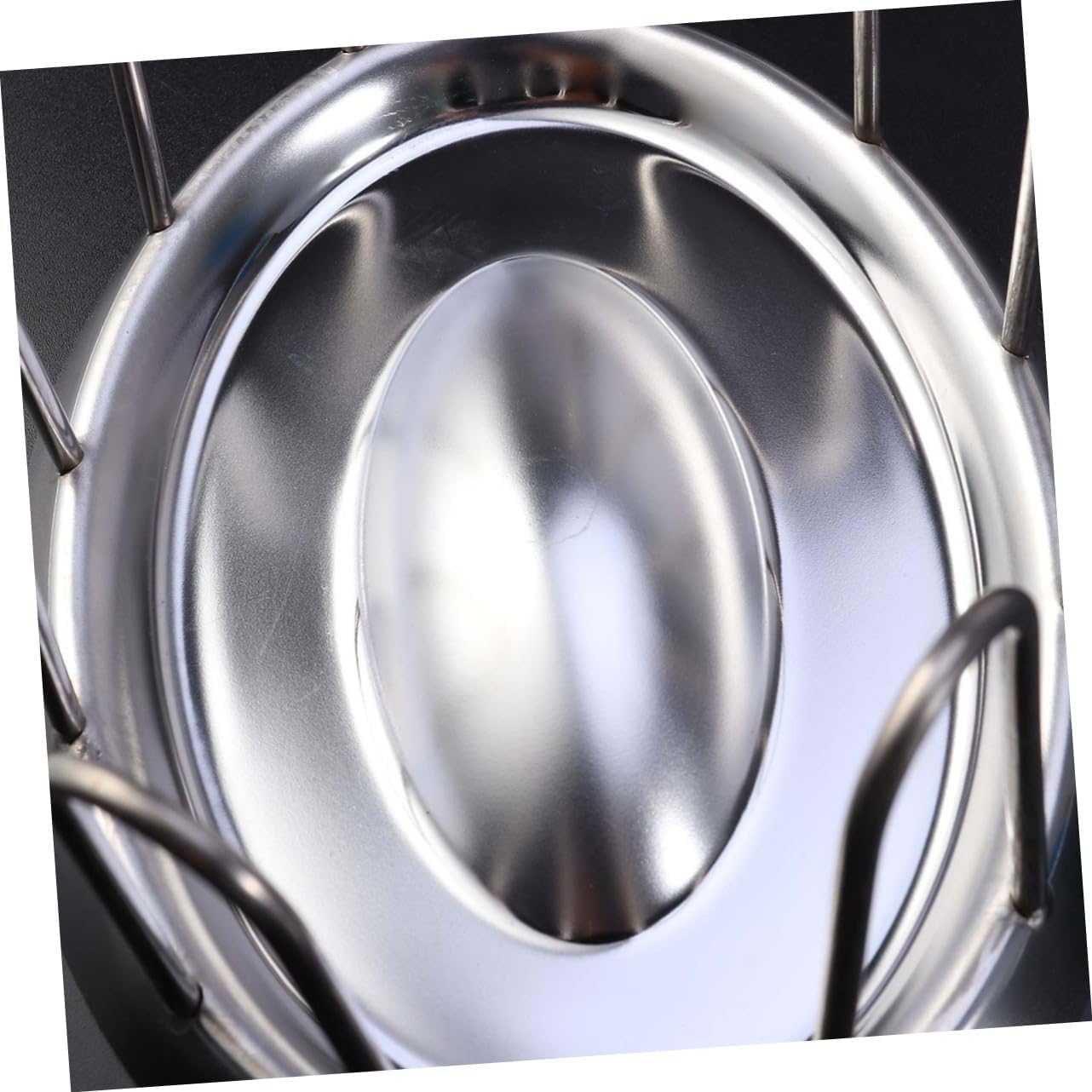 Didiseaon Stainless Steel Tortoise Food Dish Eco-Friendly Reptile Feeder Bowl Compact and Design for Turtles and Other Reptiles Easy to Clean and Maintain