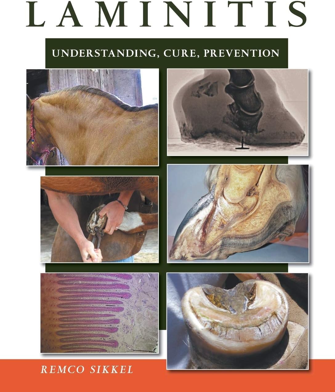 Laminitis: understanding, cure, prevention