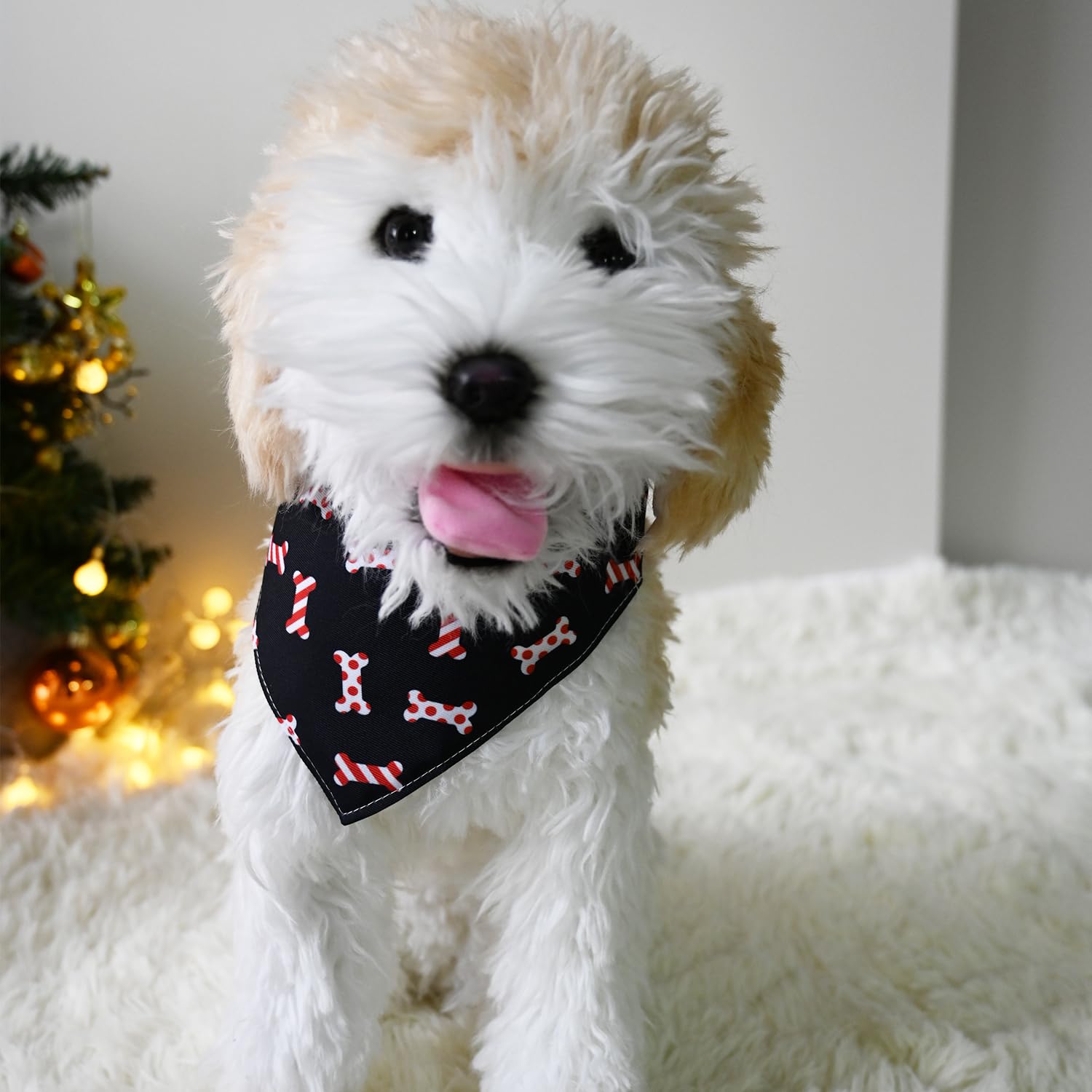 HDKUW Halstuch-Halsband Für Kleine Hunde – Obst-Design, Verstellbar 25,4–38,1 Cm