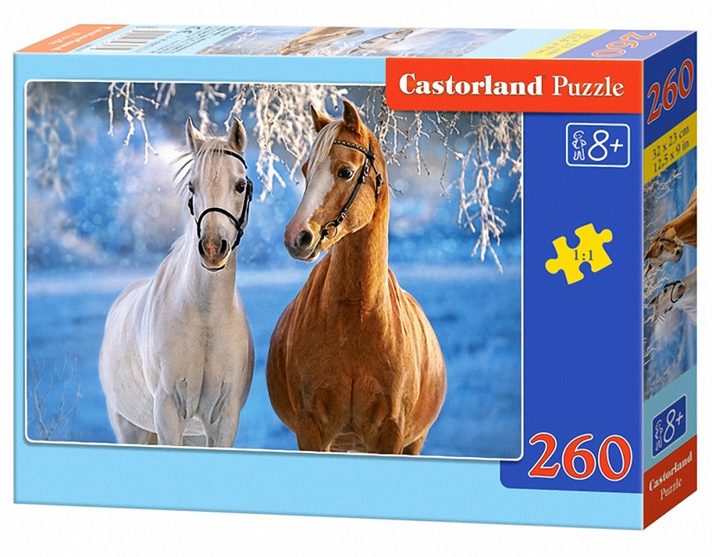 Produktbild von Castorland Winter Puzzle Christmas Weihnachten In Bayern - Amberg