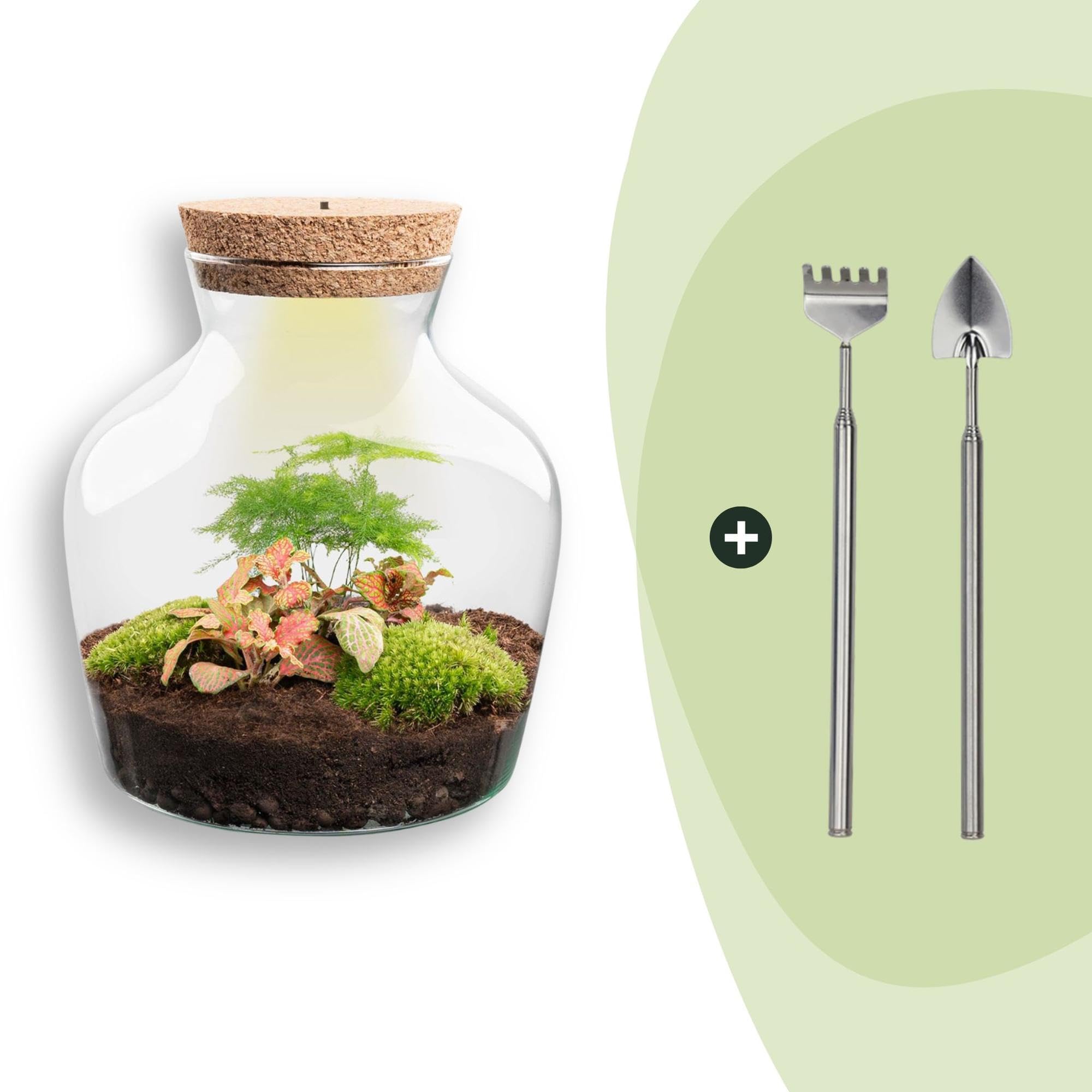 DIY Terrarium mit Kork, Deko für Zuhause, Grün, H 21.5 cm mit Licht