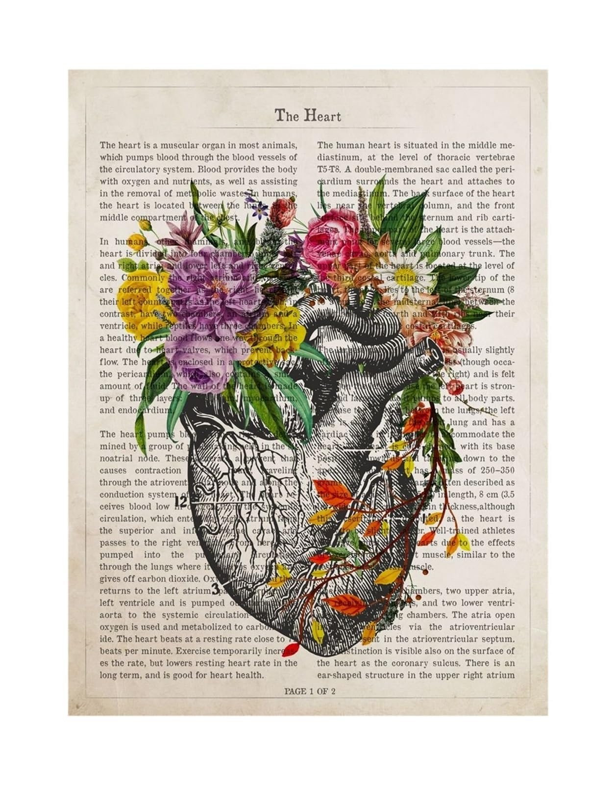 1 Szt. Części Ludzkiego Ciała Kwiat Artystyczny Anatomia Plakaty Drukuj Psychologia Neurolog Lekarz Medyczny Obraz Na Płótnie Klinika Home Decor Prezent | 19,60X90cm Unframed