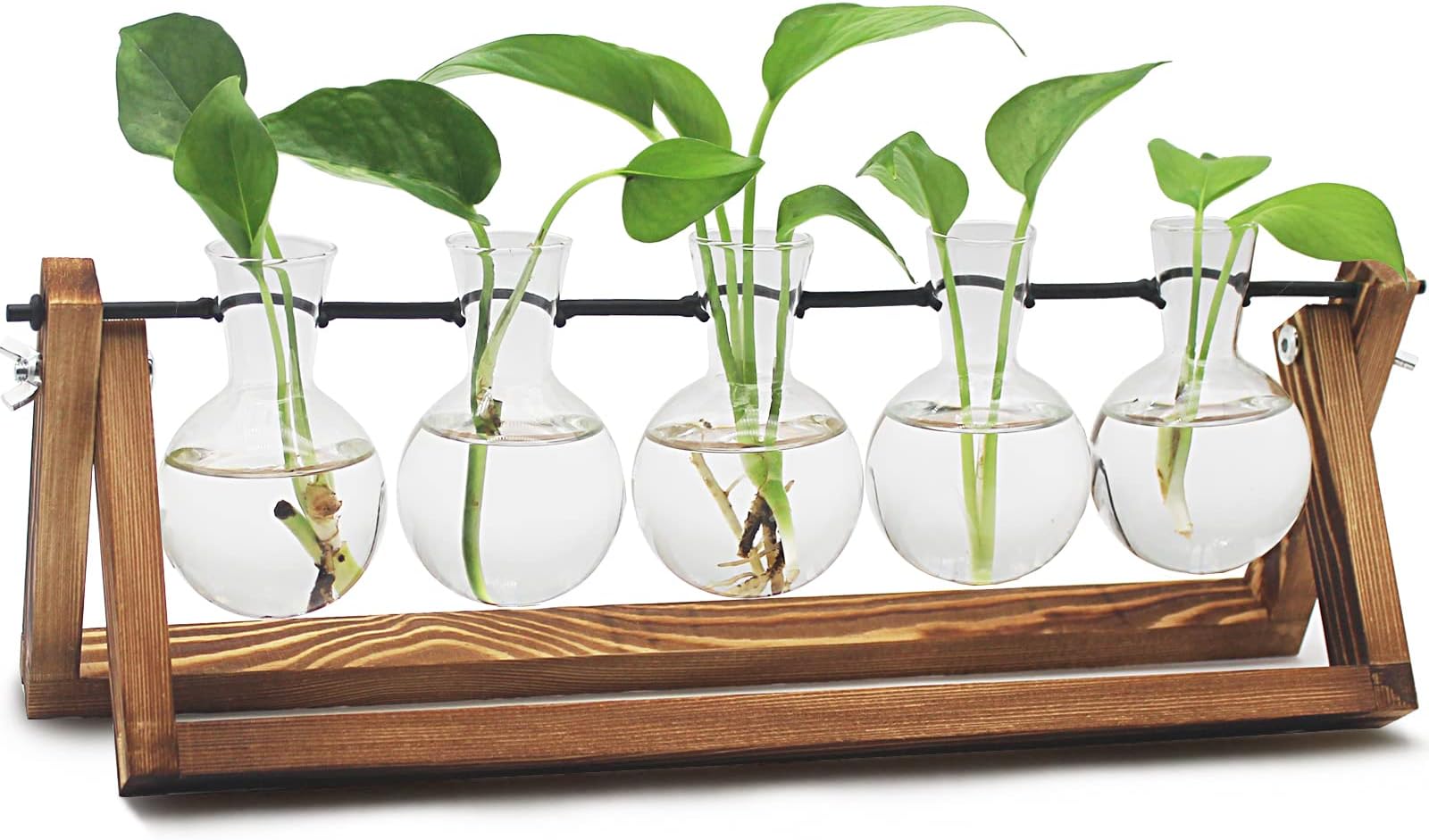 RenmxjPlant Propagation Station, Gifts for Women, Home Office Garden Decor Planter(5 Bulb Vase)