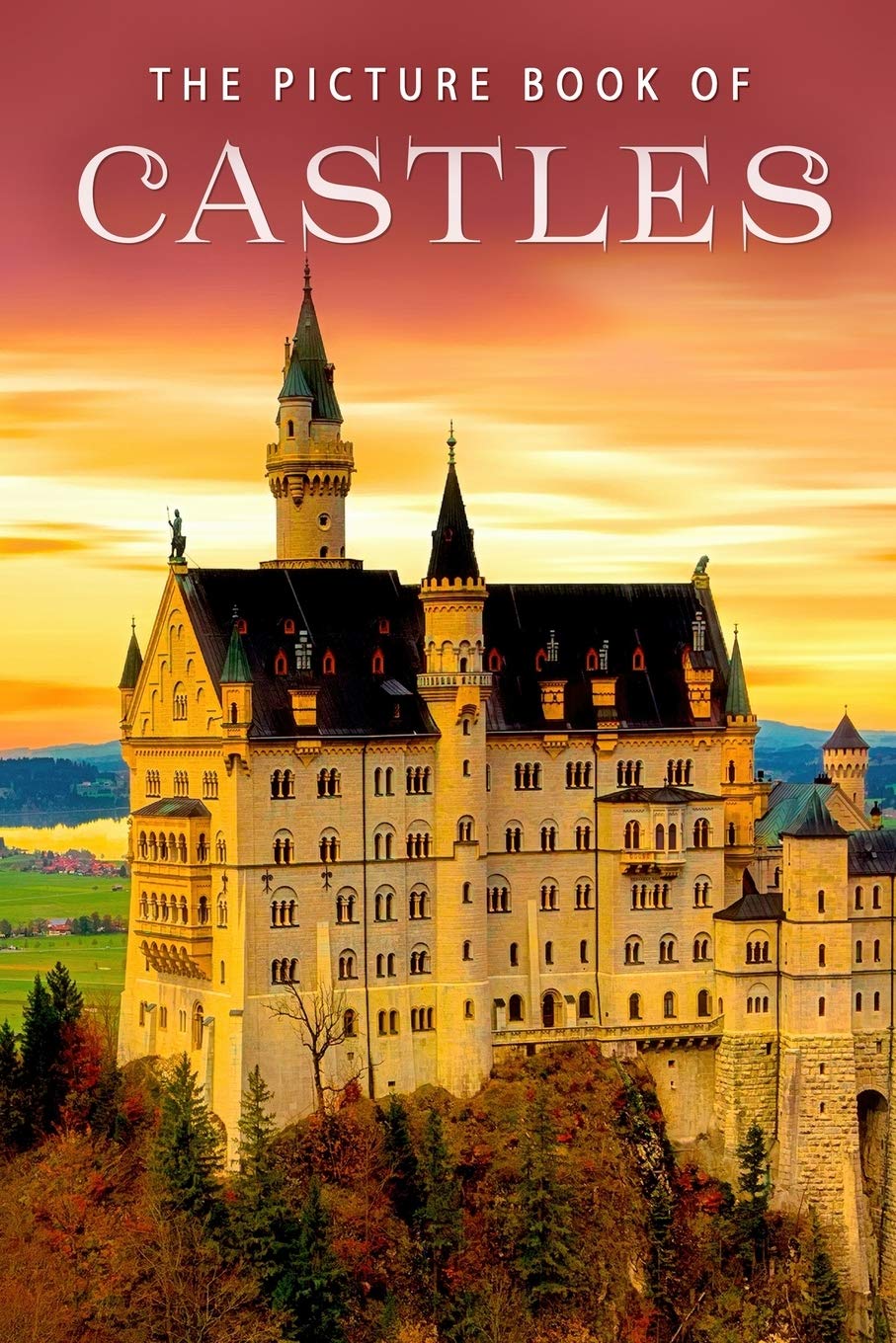 The Picture Book of Castles: A Gift Book for Alzheimer's Patients and Seniors With Dementia: 26 (Picture Books - Places)