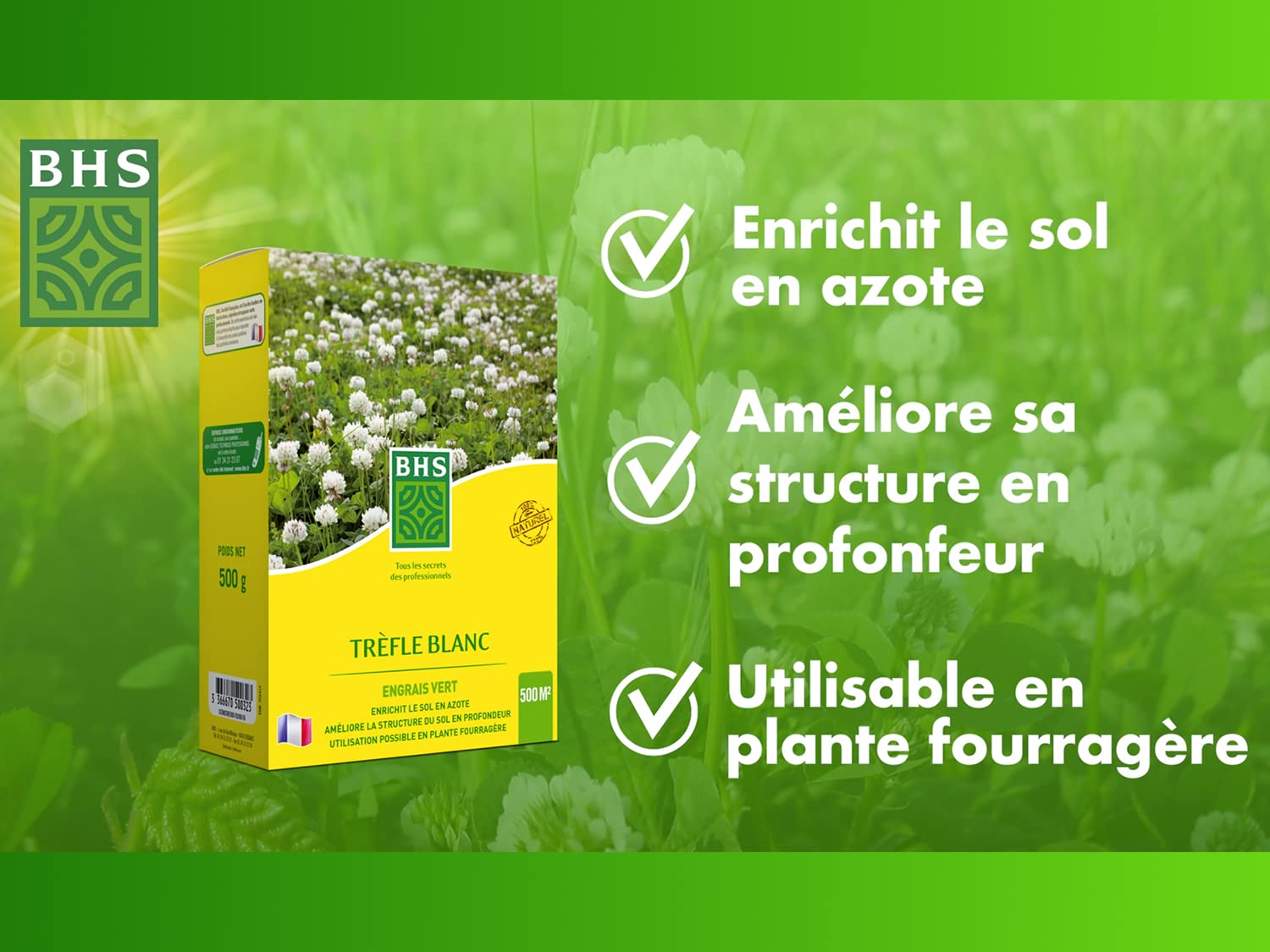 BHS Trefle Blanc - Favorisce la biodiversità, si adatta a tutti i tipi di terreno, 500 g, 500 m², resistente al calpestio TRE500