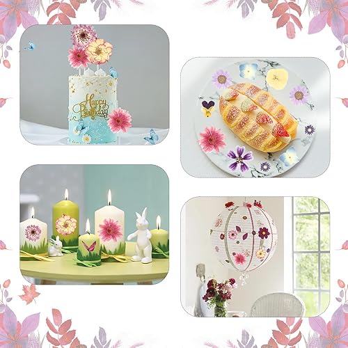 Vista 29 de 104 flores secas prensadas naturales de resina, flores secas para accesorios de resina, flores secas para álbumes de recortes, manualidades, moldes