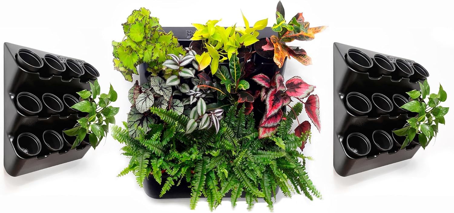 BOXSAND-36 Vertical Wall Planter Set (24"x74", Black with Round Pots) – Living Wall for 36 Plants, Indoor/Outdoor Vertical Garden System, Easy 6-Screw Install