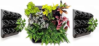 BOXSAND-36 Vertical Wall Planter Set (24
