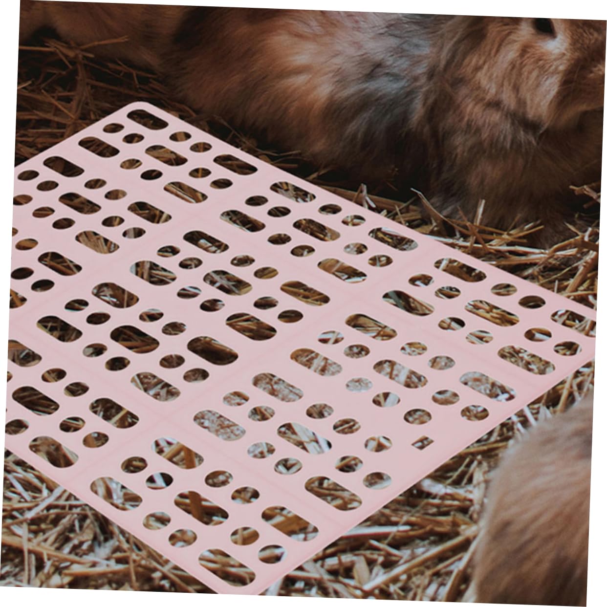 Happyyami -Pack Kaninchenkäfigmatte aus Abs mit Kunststofffüßen 6 Stück Pflegeleicht Pfotenschutz für Ratten und Hamster Hasenstall Zubehör Draußen
