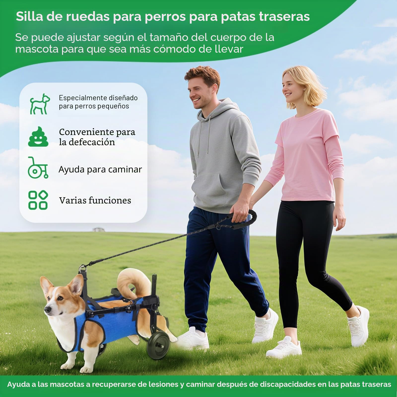 Silla de ruedas ajustable para mascotas pequeñas, plegable, con ruedas, tamaño M, ayuda de movilidad para patas traseras paralizadas (S)