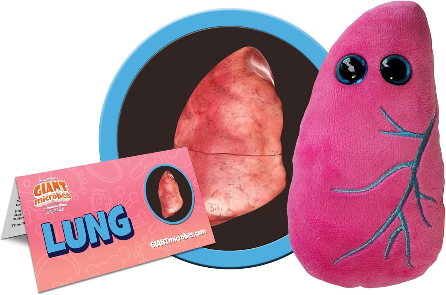 GIANT MICROBES Lung Plush, Respiratory Therapist Gifts, Pulmonology Gifts, Respiratory Therapy, Lung Cancer Survivor Gift, Anatomy Model - Image 2