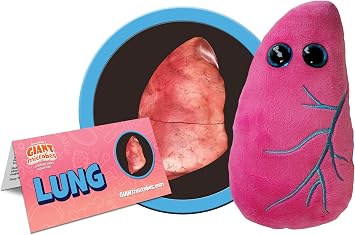 GIANT MICROBES Lung Plush, Respiratory Therapist Gifts, Pulmonology Gifts, Respiratory Therapy Gift, Lung Cancer Survivor Gift, Anatomy Model, Anatomy Plush