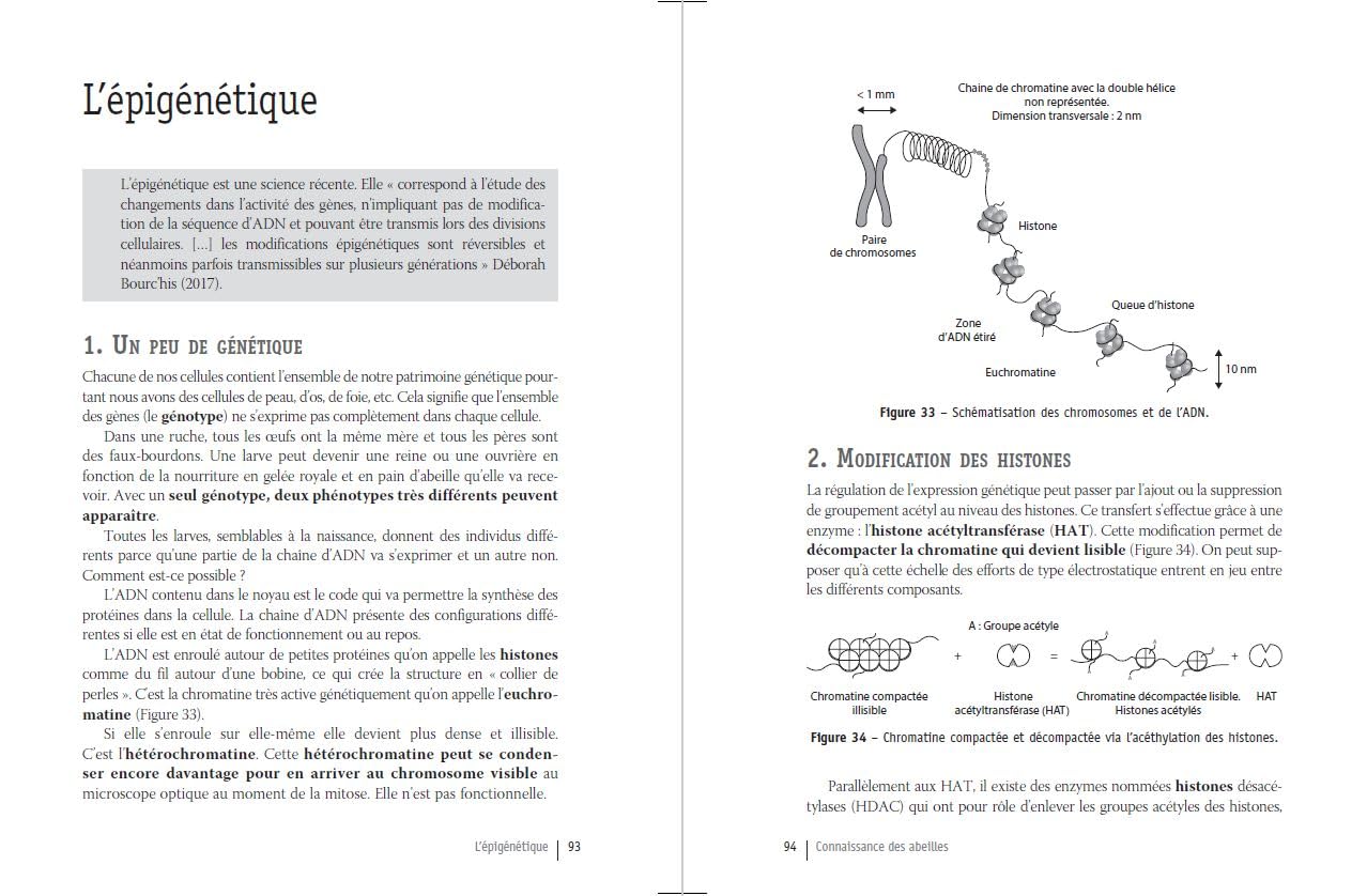 Connaissance des abeilles: Pour une apiculture rationnelle - Biologie, Reproduction, Comportement, Ruches, Produits de la ruche