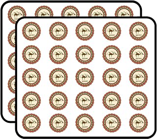Egypt Cairo World City Pyramid Travel Sticker for Scrapbooking, Calendars, Arts, Kids DIY Crafts, Album, Bullet Journals 50 Pack