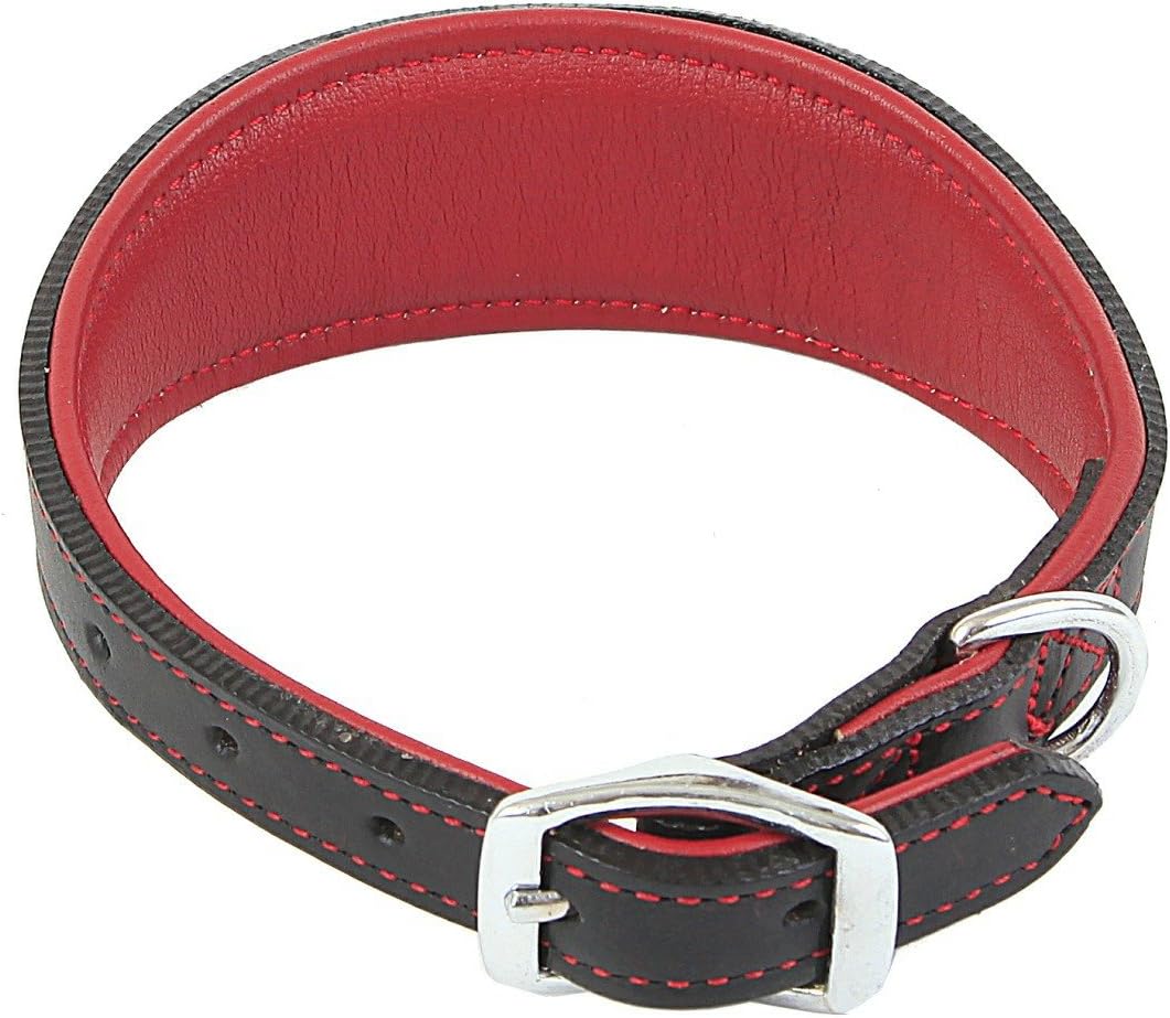 Outhwaite Padded Greyhound Collar, 12 mm x 36 cm, Red/Black