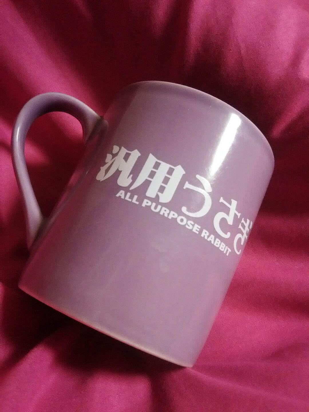 汎用ウサギ カップ チャックスGP