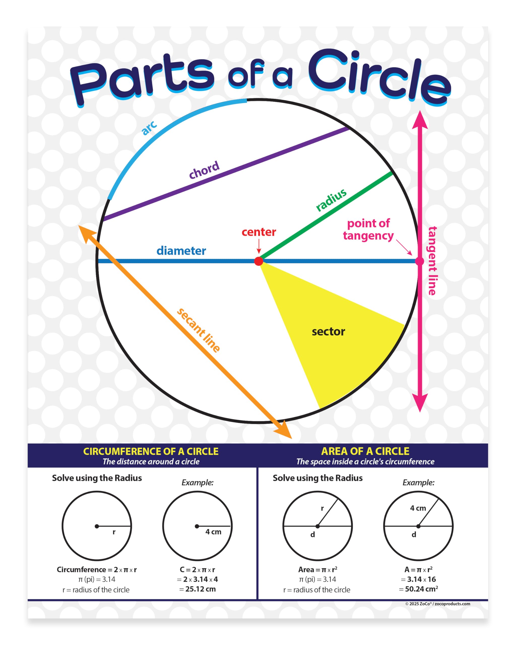 Amazon.co.jp: Parts of a Circle ポスター ラミネート加工 17 x 22