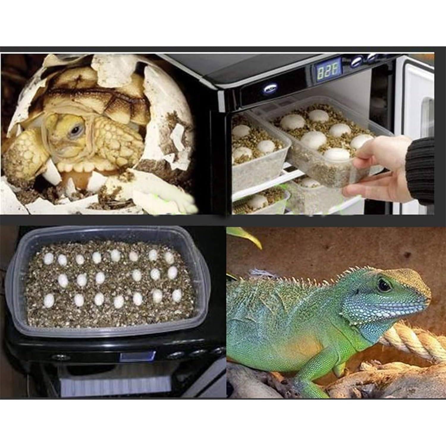 Incubatore per rettili da 25 Litri, incubatore Portatile da Laboratorio scientifico, LED Digitale e Illuminazione, per Piccoli rettili Camaleonte Lucertola Tartaruga