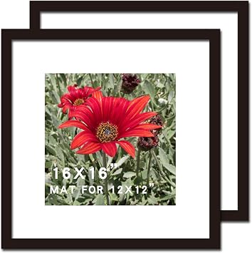 16x16 Picture Frame Black 2 Pack Solid Wood for Mat 12x12 Wall Mounting Square Poster Photo Frames