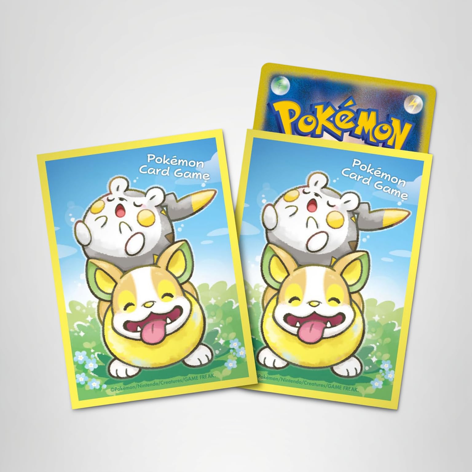 PSA10 トゲデマル ワンパチ AR 2枚セット PSA10 トゲデマル ワンパチ AR 2枚セット トゲデマル(090/080) | AR