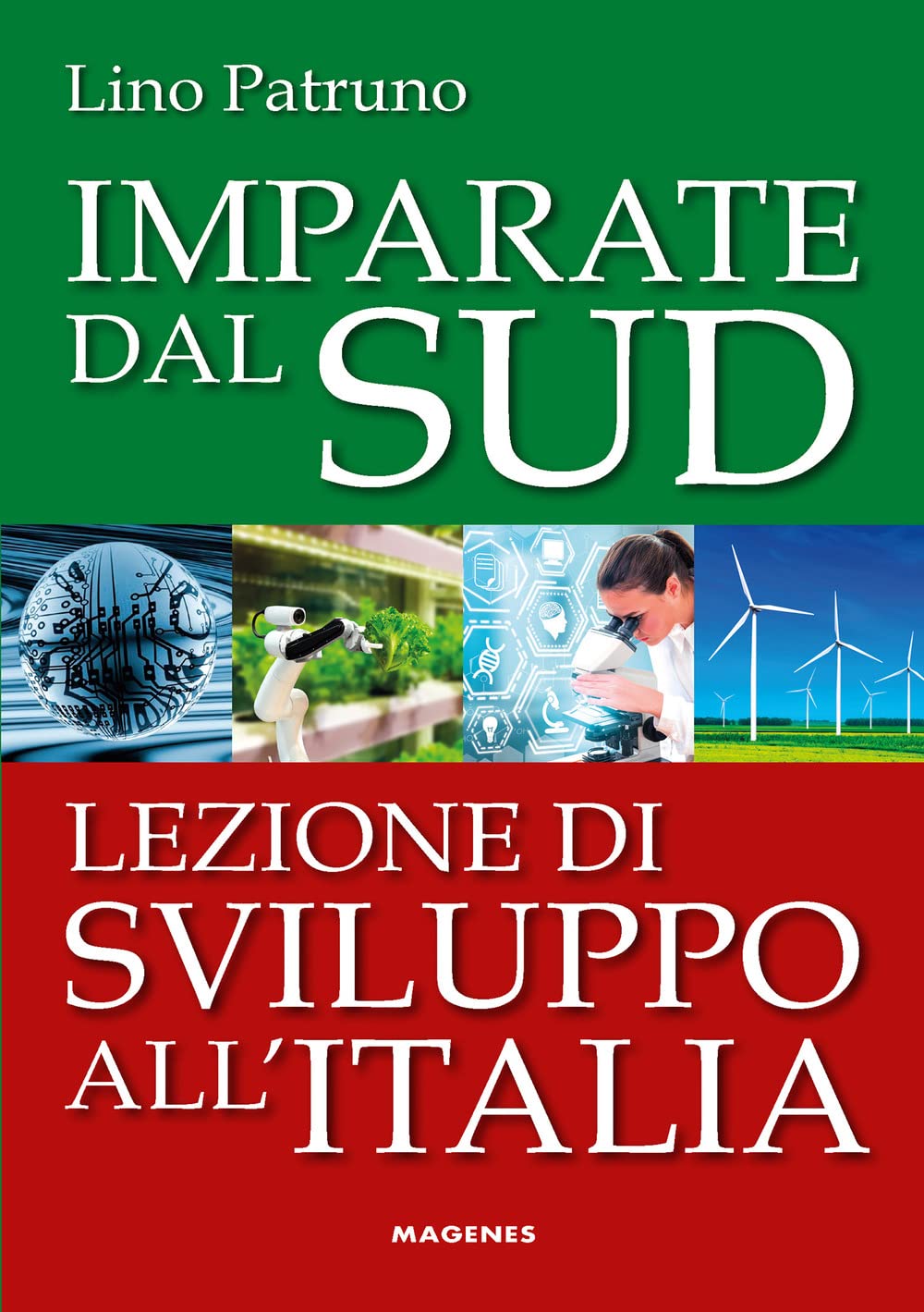Imparate Dal Sud. Lezione Di Sviluppo All'italia - 4