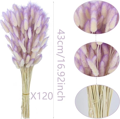 Miniatura 2 de 120 piezas de flores secas de cola de conejo, flores secas de lagurus ovatus, cola de conejo, hierba seca, hierba de pampa, arreglo floral seco para