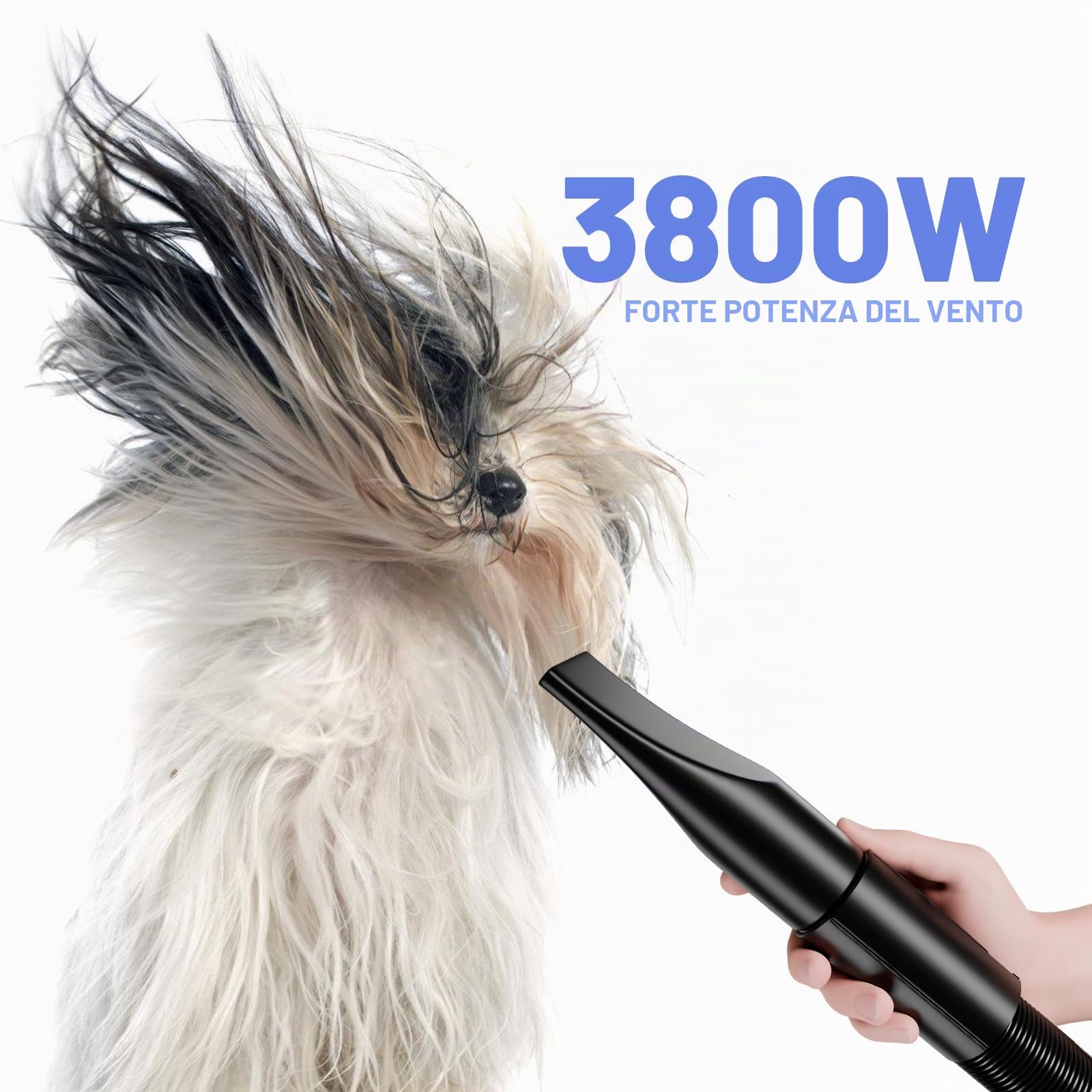 Soffiatore per Cani Blower Molto Silenzioso, 5,2 CV/3800 W, Velocità Regolabile, Ventilatore per la Cura Del Cane con 4 Diversi Ugelli, Tubo Elastico