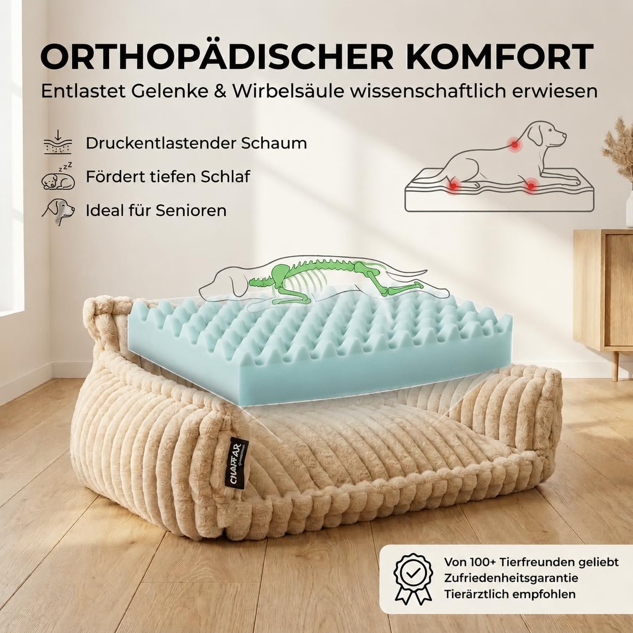 Hundesofa Chaffar Hundebett | Orthopädische Matratze | Moderner Stil | Cord-Design Größen (Creme, XXL (140cm))