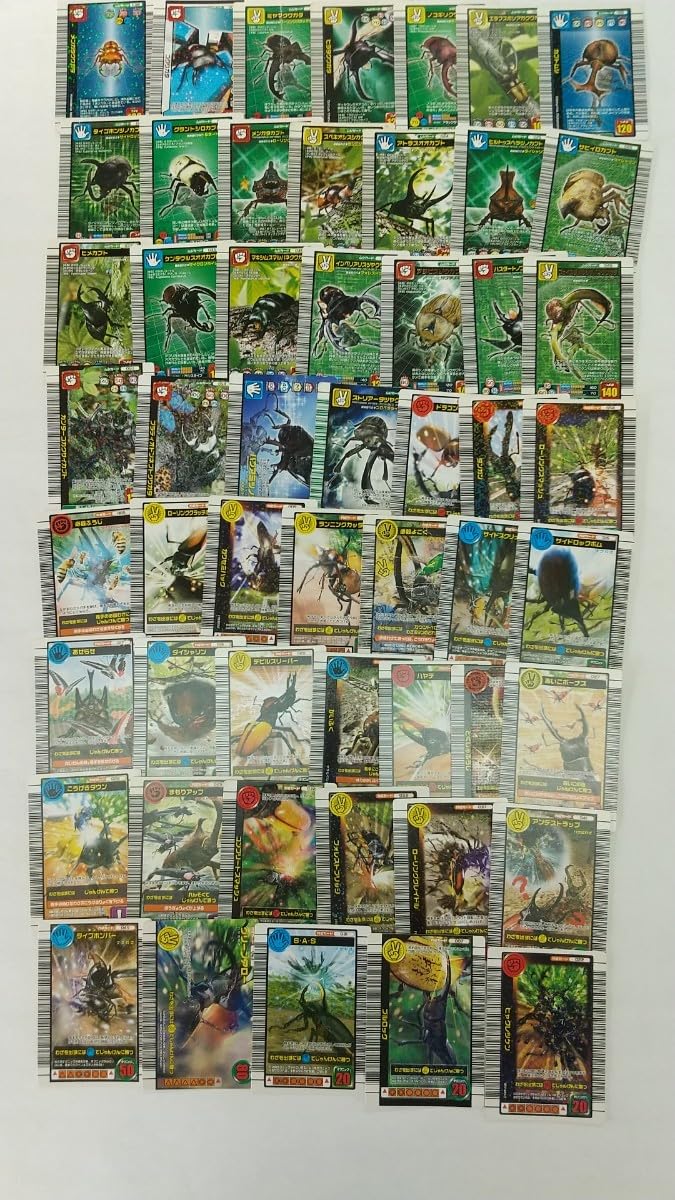 Amazon.co.jp: まとめ売り 2005年夏限定 タランドゥスツヤクワガタ 他