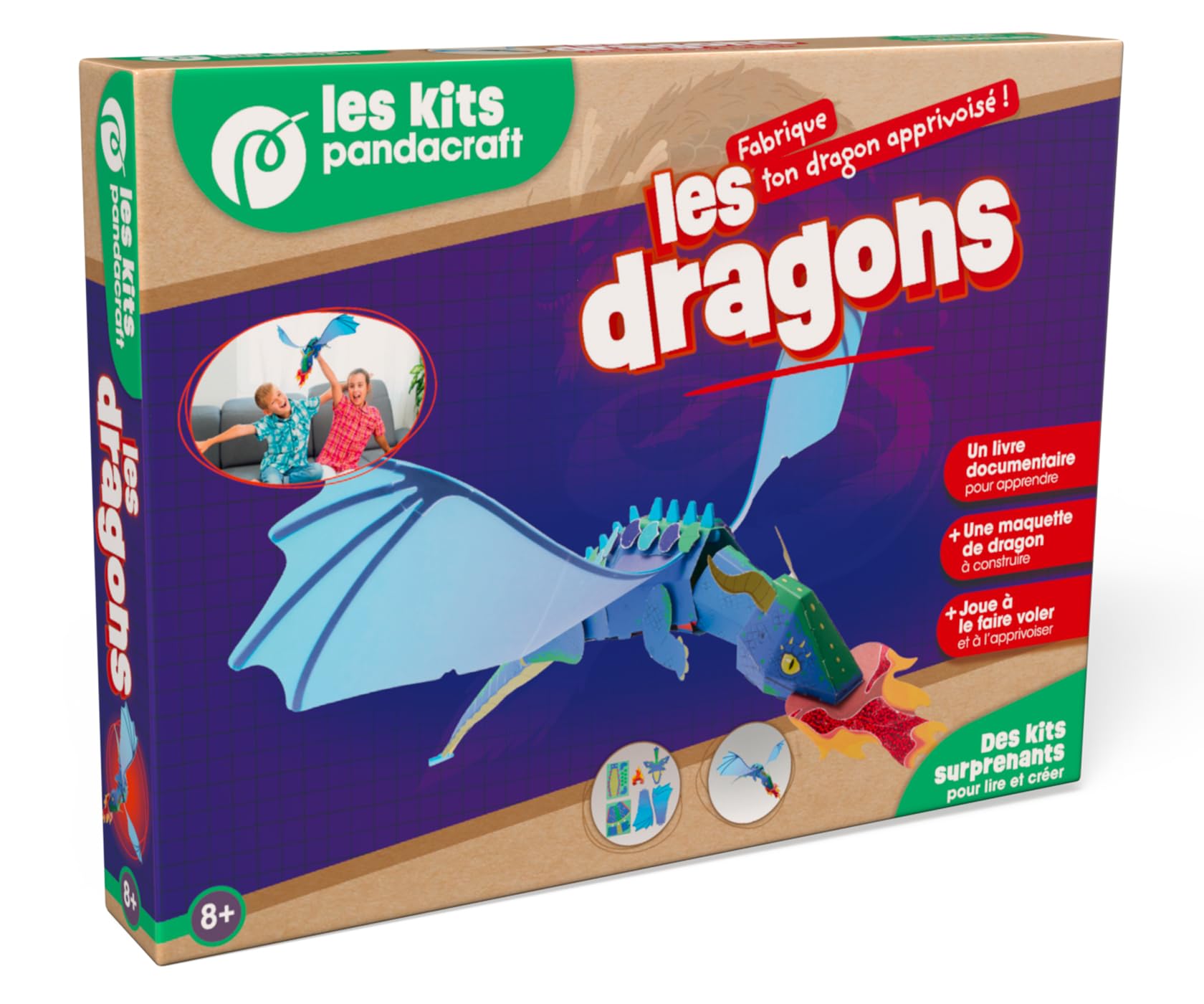 Les dragons - Kit Pandacraft dès 8 ans: Fabrique ton dragon apprivoisé !