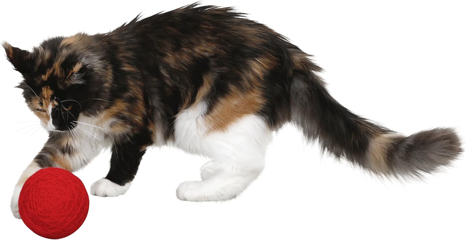 Kerbl Wool Play Ball, 10 cm, Red