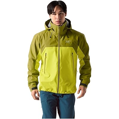 Arcteryx Beta AR Jacket olive moss/euphoria