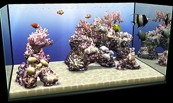 Amazon.co.jp: 爆発的1480 シリーズ ベストセレクション マイ