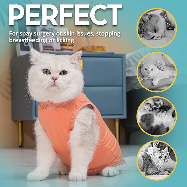 Avont Cat Recovery Suit, Post Surgery Sterilization Cat Leotard, Cat Recovery Suit, Cat Suit to Prevent Licking Abdominal Wound After Surgery - Coral(S) - 4