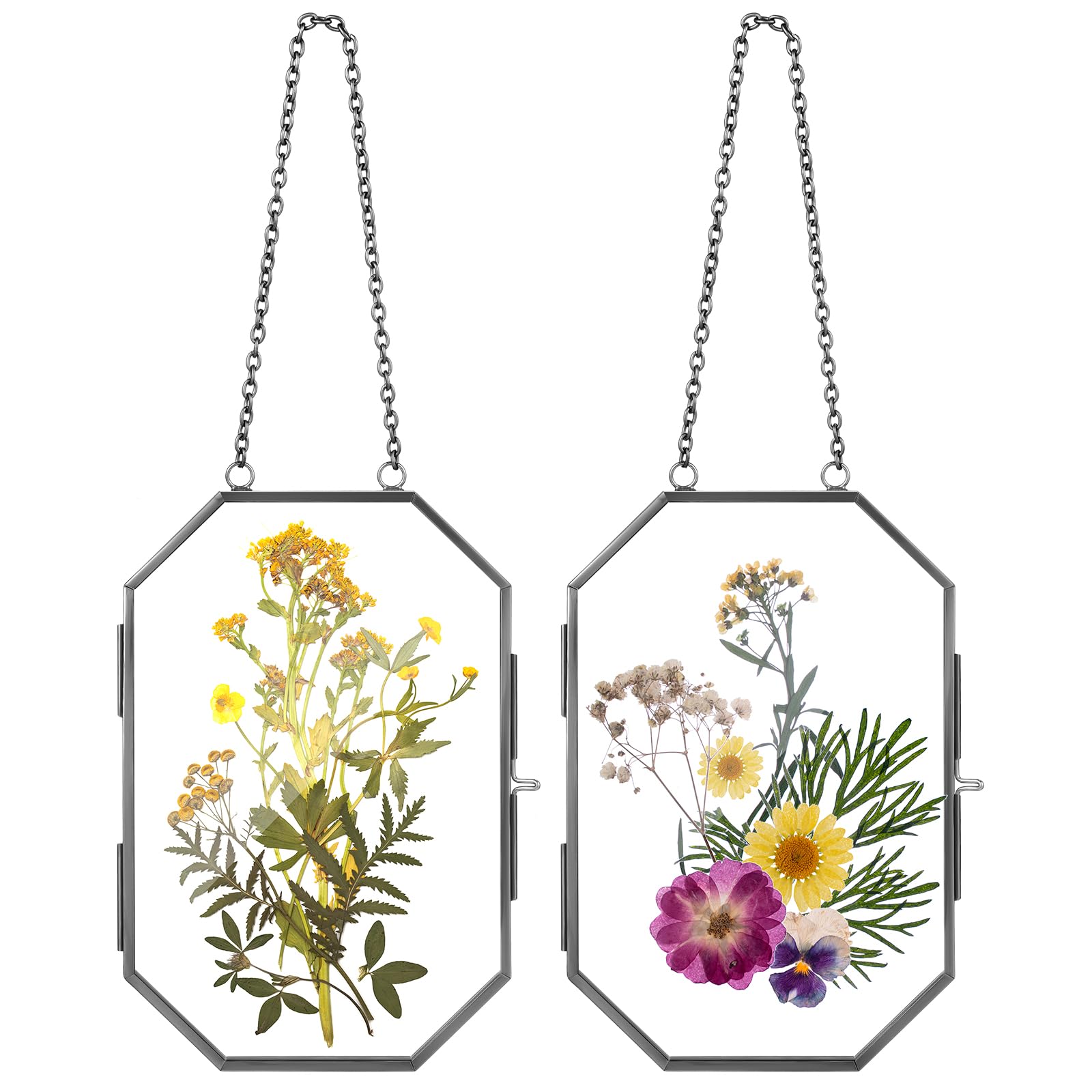 Cadre de fleurs pressées transparent anti-poussière pour conserver vos plantes séchées